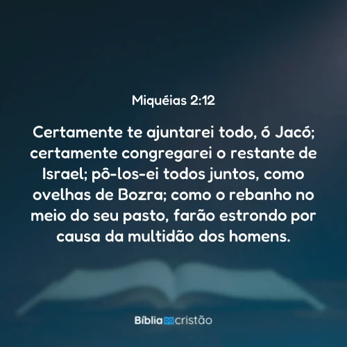 Miquéias 2:12