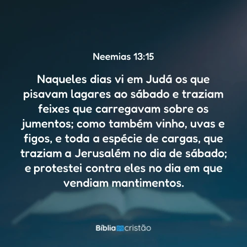 Neemias 13:15