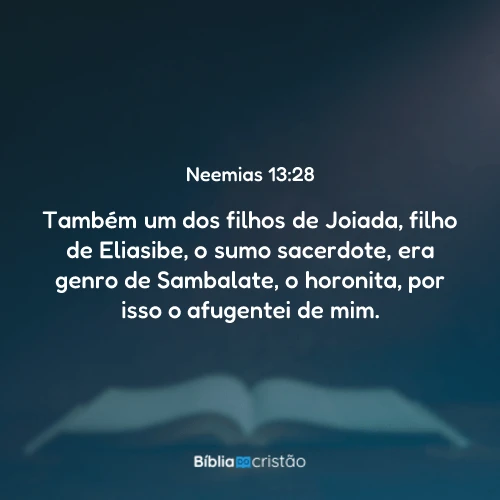Neemias 13:28