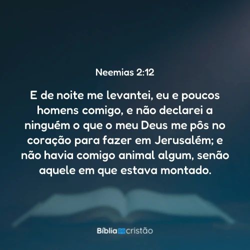 Neemias 2:12
