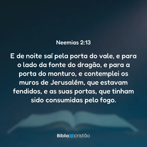 Neemias 2:13