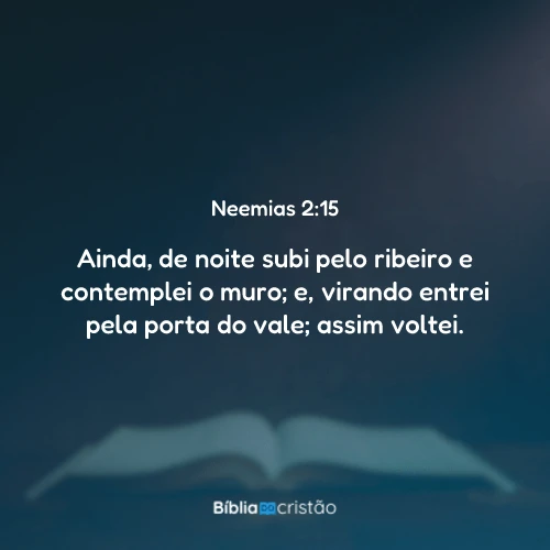 Neemias 2:15