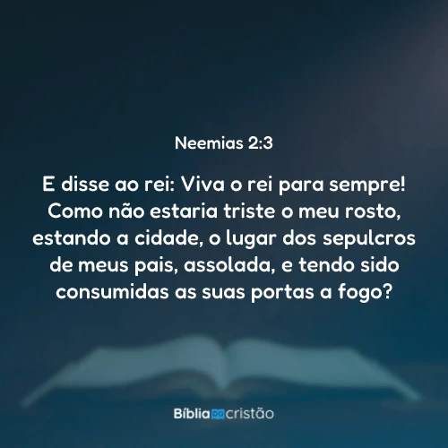 Neemias 2:3