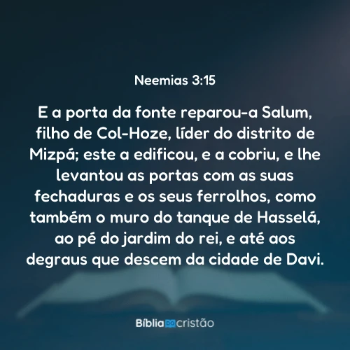 Neemias 3:15