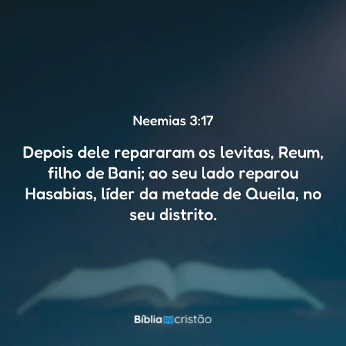 Neemias 3:17