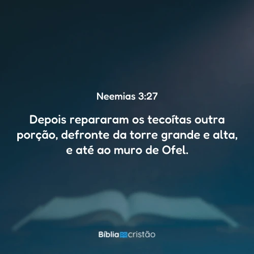 Neemias 3:27