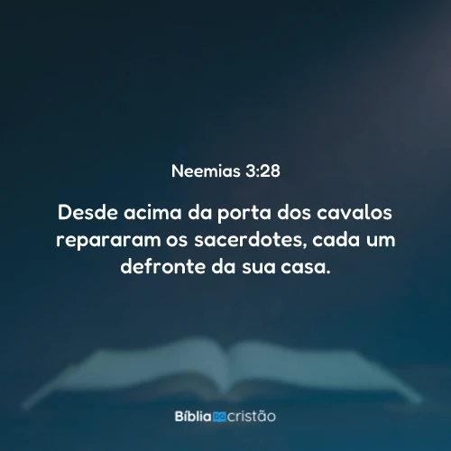 Neemias 3:28