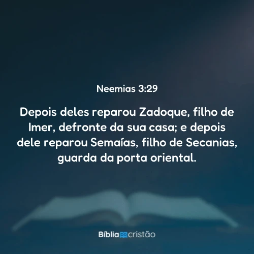 Neemias 3:29