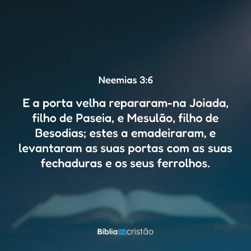 Neemias 3:6