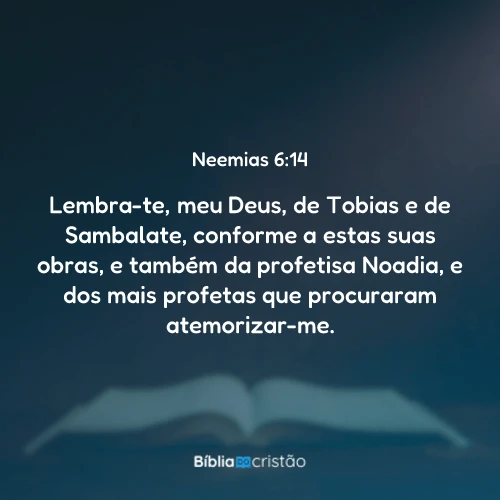 Neemias 6:14