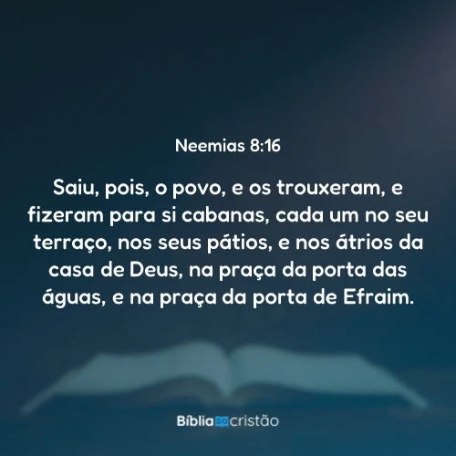Neemias 8:16