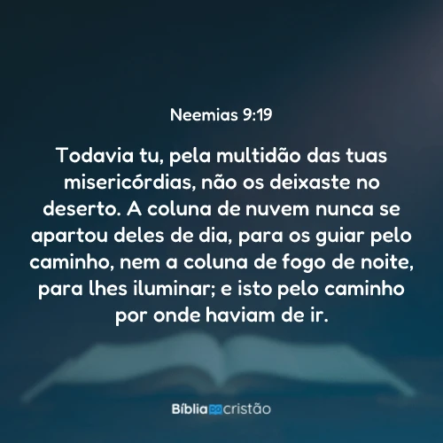 Neemias 9:19