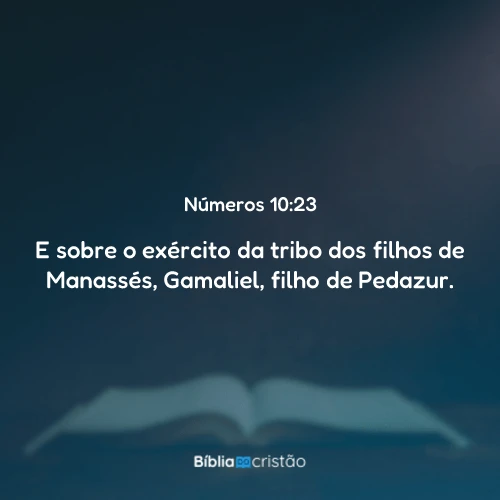 Números 10:23