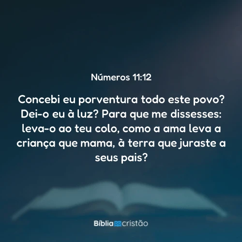 Números 11:12