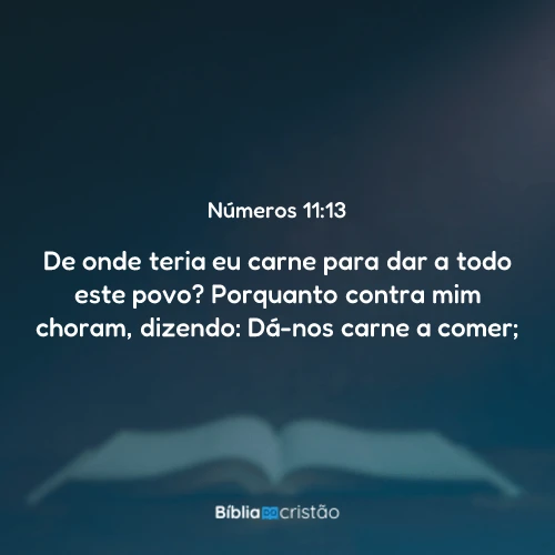 Números 11:13