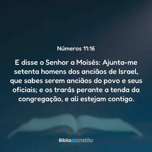 Números 11:16