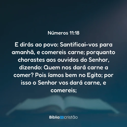 Números 11:18