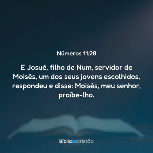 Números 11:28