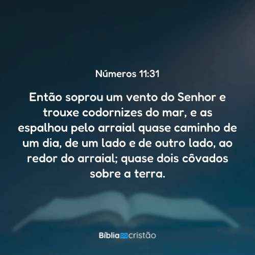 Números 11:31