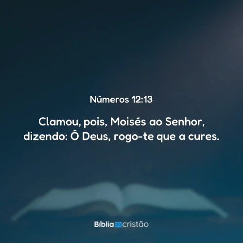 Números 12:13