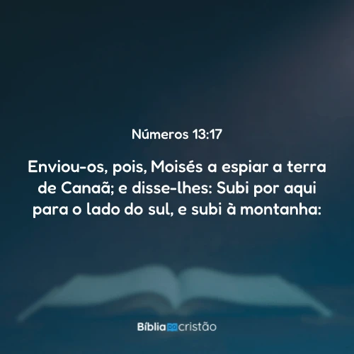 Números 13:17