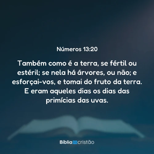 Números 13:20