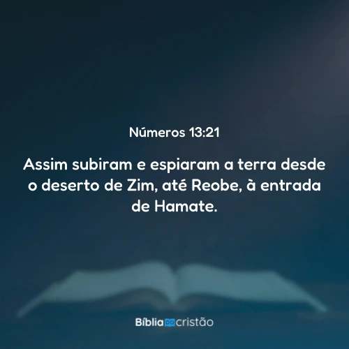 Números 13:21