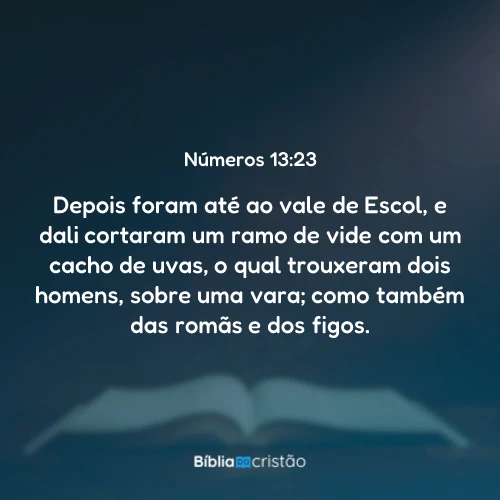 Números 13:23