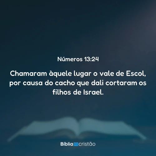 Números 13:24
