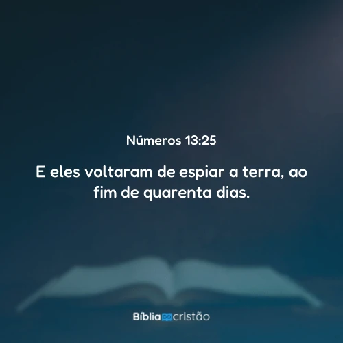 Números 13:25