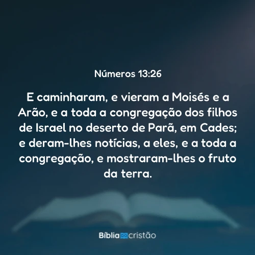 Números 13:26