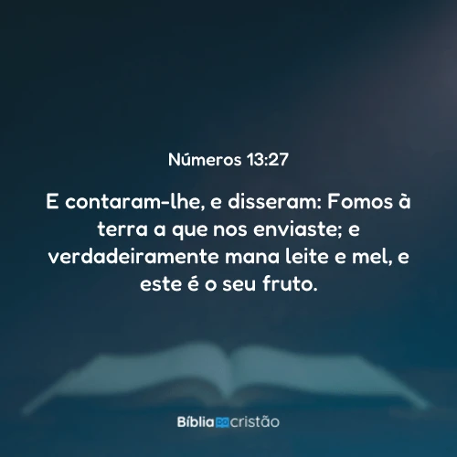 Números 13:27