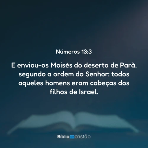 Números 13:3