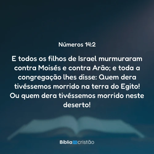 Números 14:2