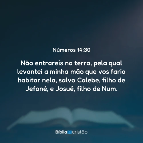 Números 14:30