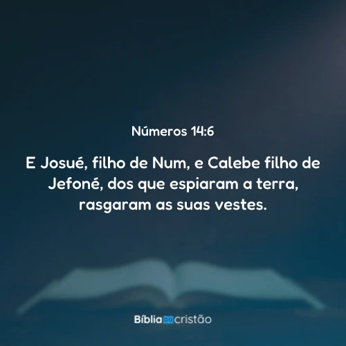 Números 14:6