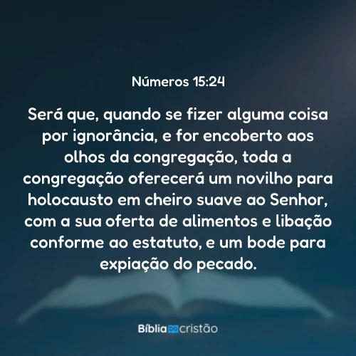 Números 15:24