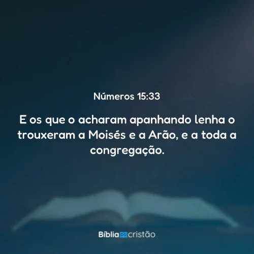 Números 15:33