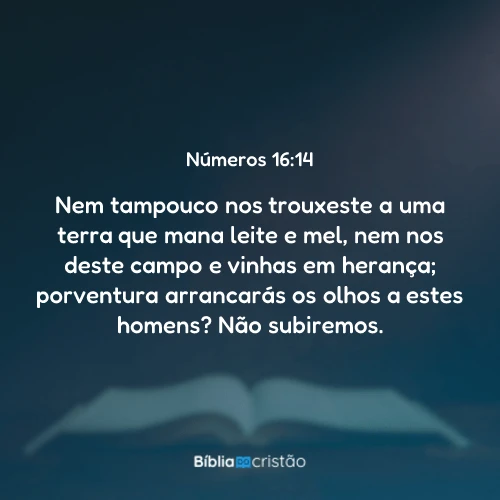Números 16:14