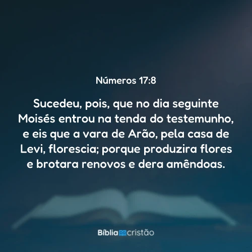 Números 17:8