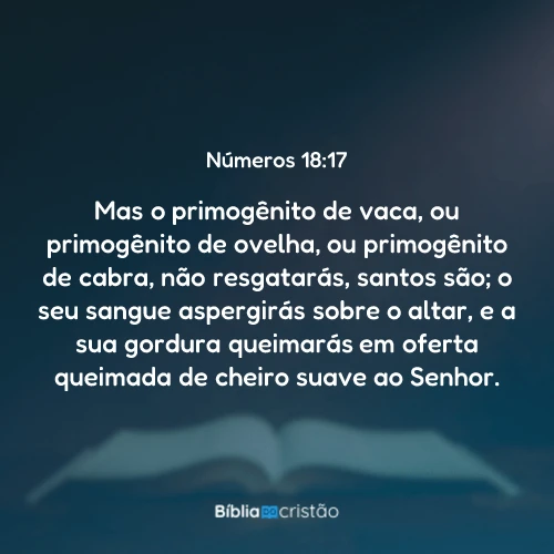 Números 18:17