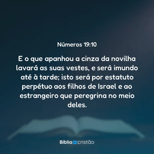 Números 19:10