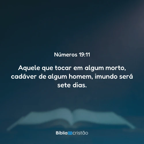 Números 19:11
