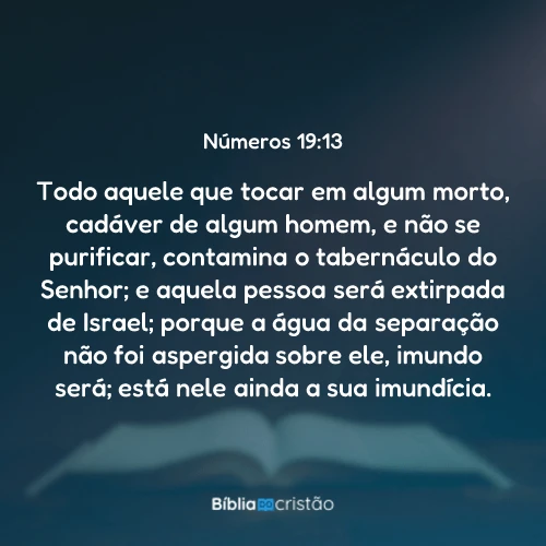 Números 19:13