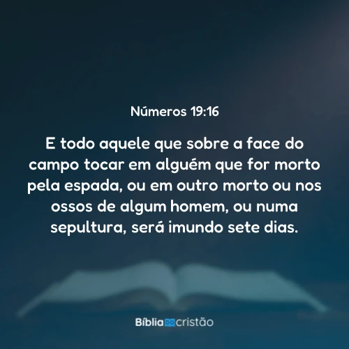 Números 19:16