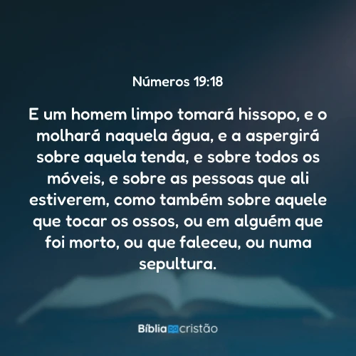 Números 19:18