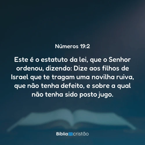 Números 19:2