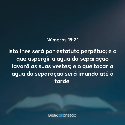 Números 19:21
