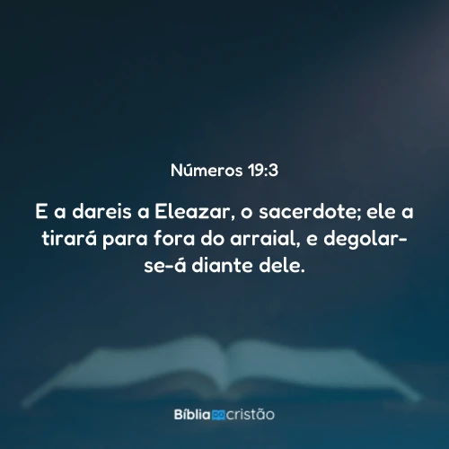 Números 19:3