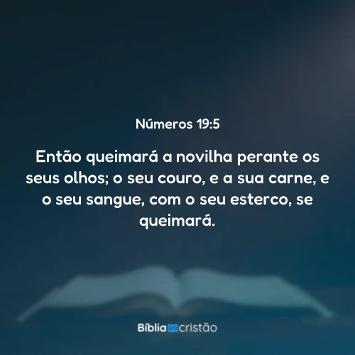 Números 19:5